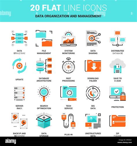 Data Management Organization Chart 的图像结果