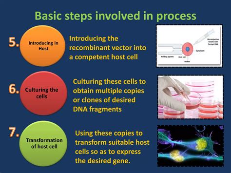 Biotechnology Process 的图像结果