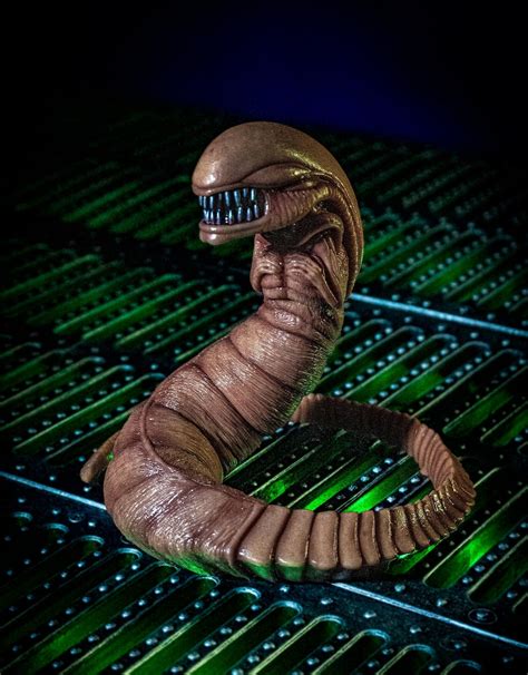 Image result for Alien Chestburster Props