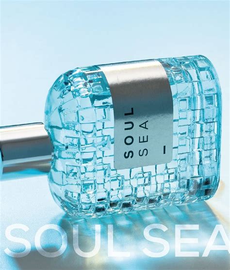 SOUL SEA LPDO APA DE PARFUM INTENS 100ML – Lambre | Le Charme de la France
