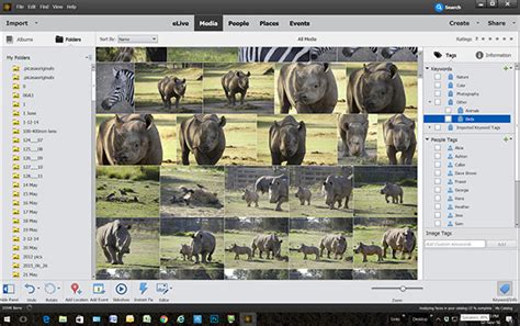 Adobe Elements 15 Tutorials 的图像结果