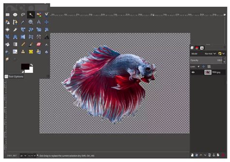 Image result for Design App UI Using GIMP