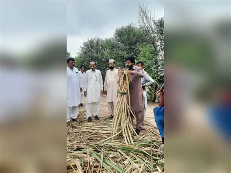 Pakistan’s sugar industry marred with corruption and political nexus ...