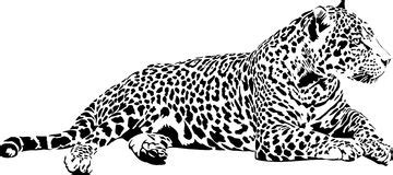 Image result for Prime in Java