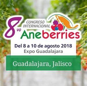 All Events in Guadalajara, Today and Upcoming Events in Guadalajara