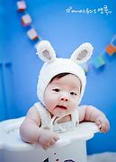 Image result for Baby Bunny Bellies Plant Cats