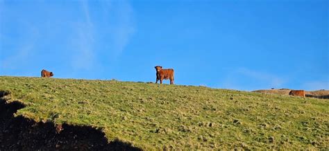 OBAN HOLIDAY PARK (Scotland) - Campground Reviews & Photos - Tripadvisor