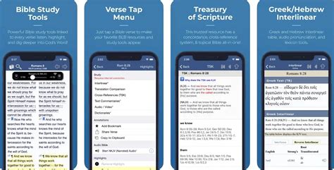 13 Best Bible Study Apps To Dig Deeper into God's Word