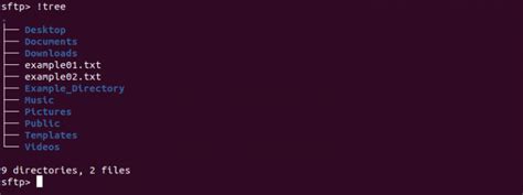 Image result for Unix Sftp Command