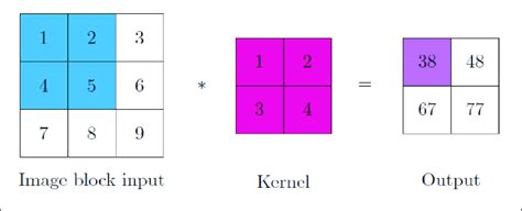 Kernel Operation 的图像结果