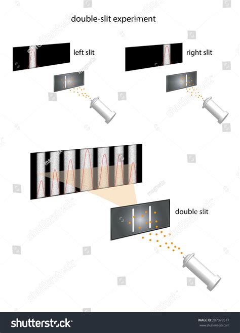 Double Slit Experiment Questioning Reality 的图像结果