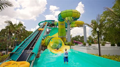 Adventure Island 的图像结果