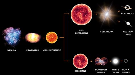 The Stages Of The Life Cycle Of A Star – NCBTHC