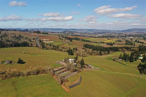 18 Gifts That Will Please Every Wine Lover in Your Life | Alcohol Professor