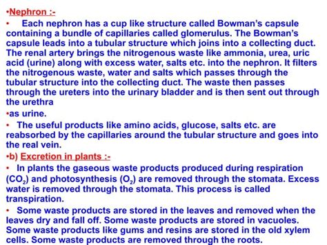 Image result for Life Process Biology