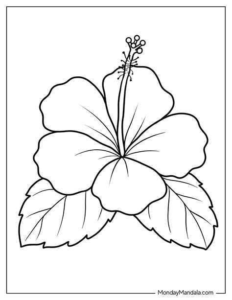 Printable Coloring Pages Flowers