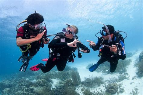 Discover Scuba Diving in Boracay with U/W Photo and Video in Panay ...