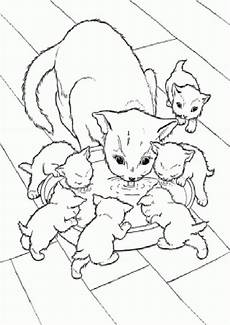 ausmalbilder lustige katzen katze 14 coloring pages holidays ausmalbilder ausmalbilder lustige katzen katze 14 coloring pages holidays ausmalbilder