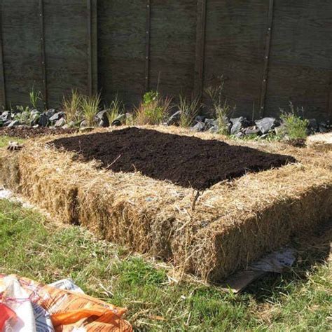 Raised Bed Gardening: 20 Ideas & Designs To Inspire You – ChhajedGarden.com