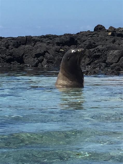 WITTMER LODGE (Floreana) - Guesthouse Reviews & Photos - Tripadvisor