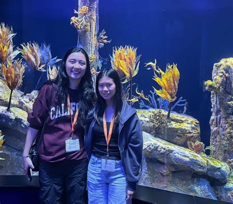 UCSD Session 1 (June 29-July 11, 2025) - Summer Springboard