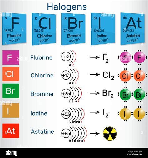 Halogen Halogens/Halogens Group/Halogens Periodic Table - YouTube