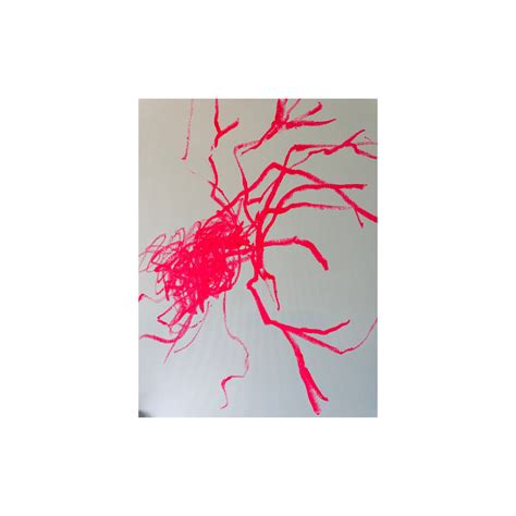 Bethany And Becca Onlyfans Leaked