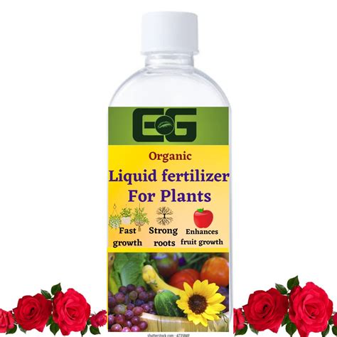 Rose Booster Fertilizer at Ashley Eaton blog