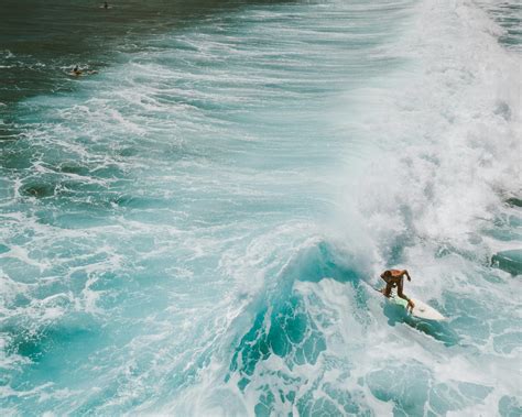 Swim 的图像结果