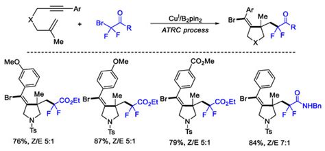 Copper-Catalyzed Difluoroalkylation Reaction