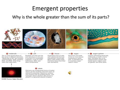 What Are Emergent Properties