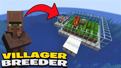 Minecraft Java Villager Breeder 的图像结果
