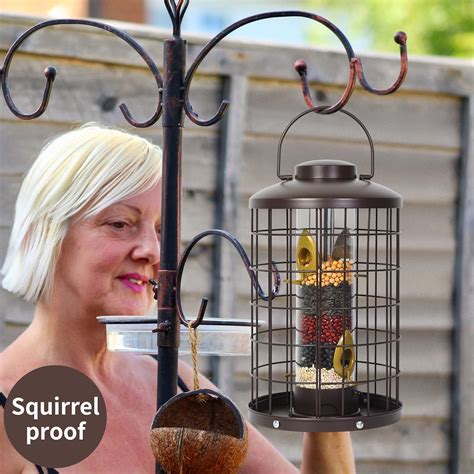 Buy Mosloly Caged Bird Feeders Metal - 3 Lbs - Squirrel-Proof Wild Bird ...