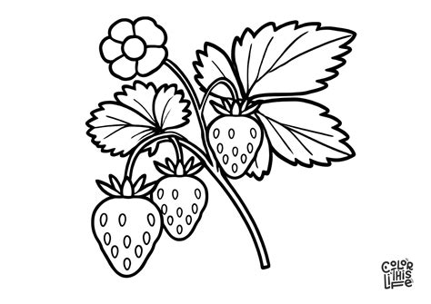 Free Printable Plants Coloring Pages - Color This Life