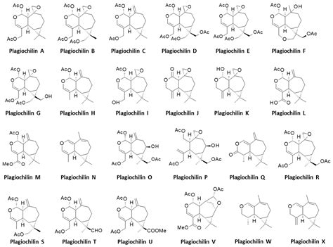 The Plagiochilins From Liverworts Plagiochila: Binding to α-Tubulin and ...