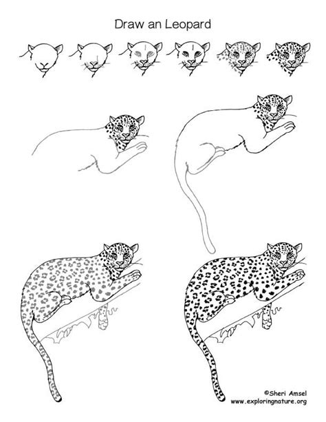 Image result for Leopard Print Tutorial