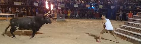 [Watch] Why you don't taunt a bull with flaming horns