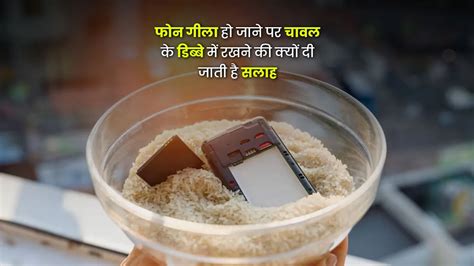 मोबाइल गीला हो जाने पर चावल के डिब्बे में डालने की क्यों दी जाती है ...