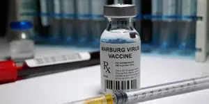 What is Marburg virus disease? Symptoms, death rate, treatment ...
