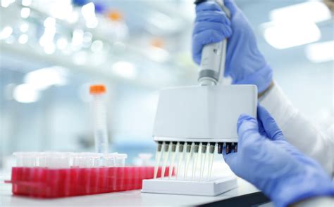 Reagent Types and Examples 的图像结果