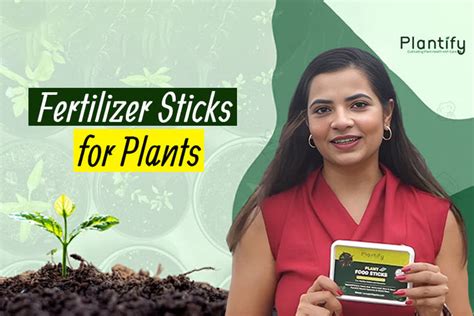 Fertilizer Sticks for Plants: The Easiest Way to Keep Your Garden Thri ...