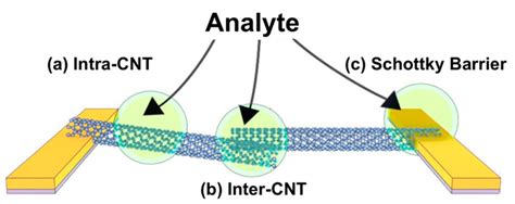 Electrical and Electrochemical Sensors Based on Carbon Nanotubes for ...