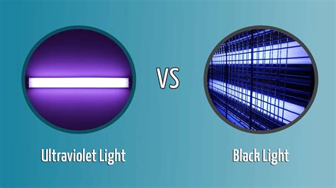 Ultraviolet Light vs Black Light: What’s the Difference? - Optics Mag
