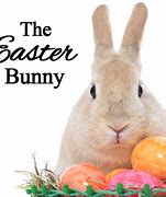 Image result for Christian Easter Bunny