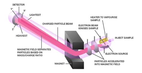 Image result for Mass Spectrometry Graphs Explained