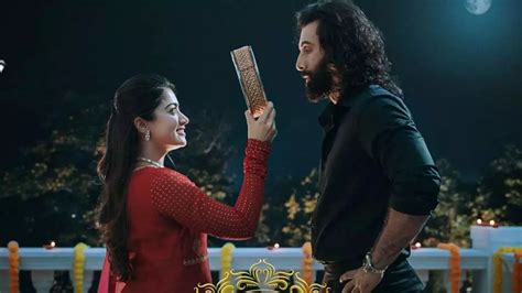 Animal Box Office Report: 5రోజుల్లో రూ.250కోట్లు వసూలు | Animal Box ...