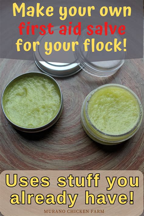 MYO first aid salve for chickens in 2025 | Natural bug bite, Natural bug bite remedy, Bug bites ...