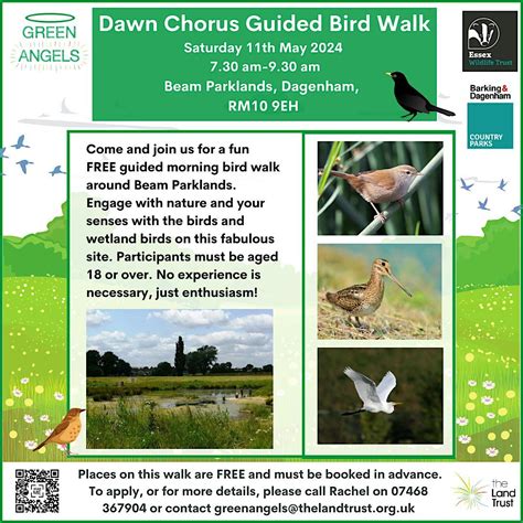 Bird Walk at Beam Parklands Country Park, Beam Parklands Country Park ...