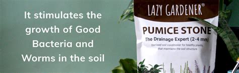 Lazy Gardener Pumice Stone for Soil Improvement for Plants, Sterlised ...