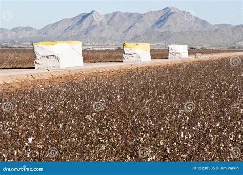 Image result for Loading Cotton Modules